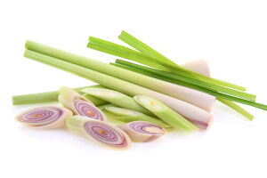 High Angle View Of Lemongrass On White Background