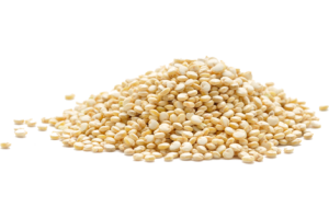 quinoa-300x217